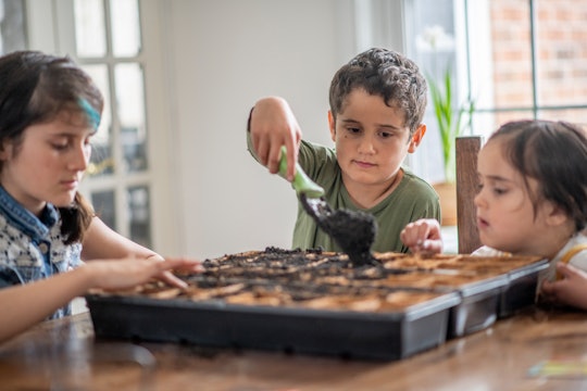 kids planting seeds