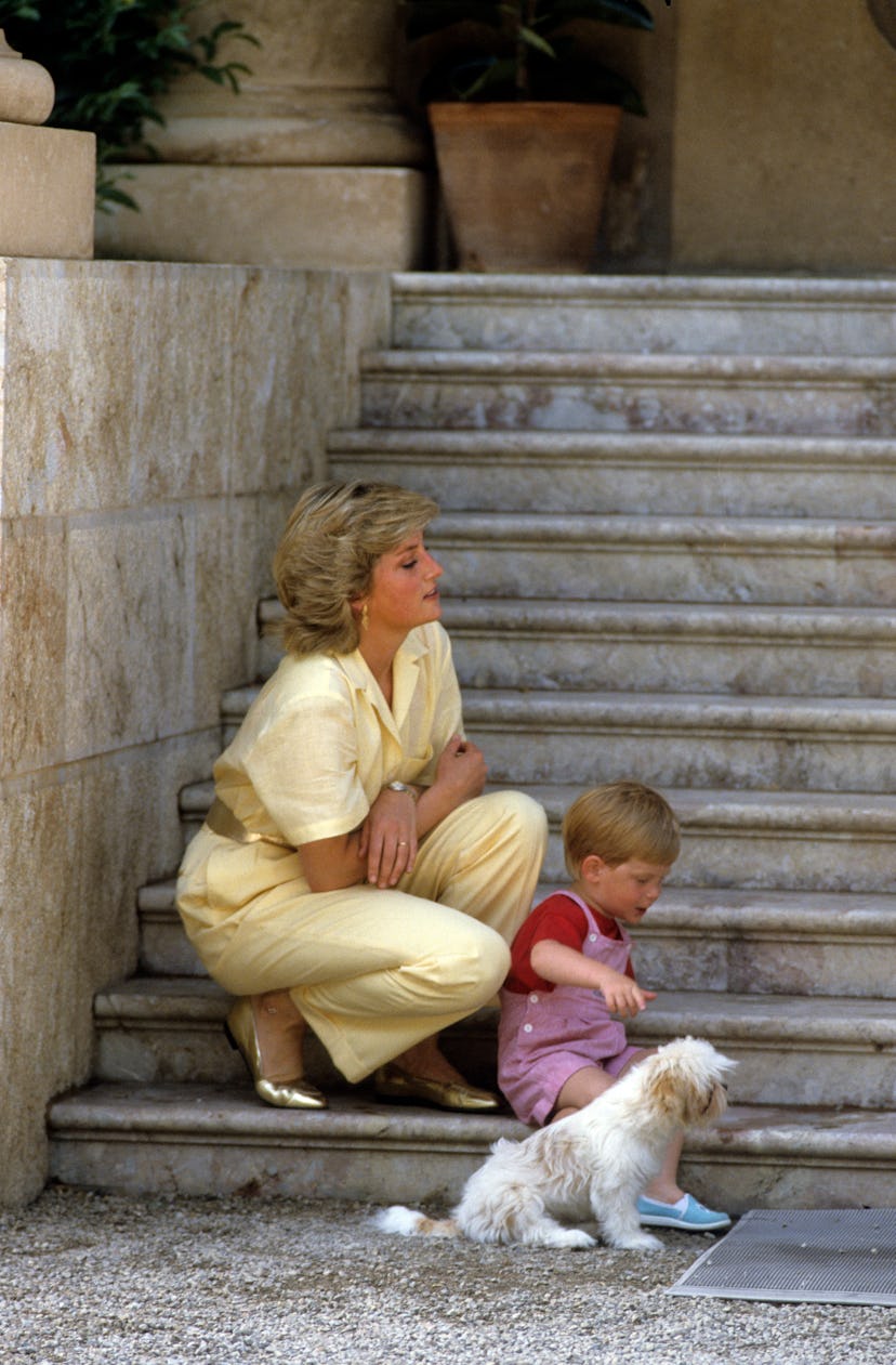 Princess Diana and Prince Harry pet a puppy in Spain.