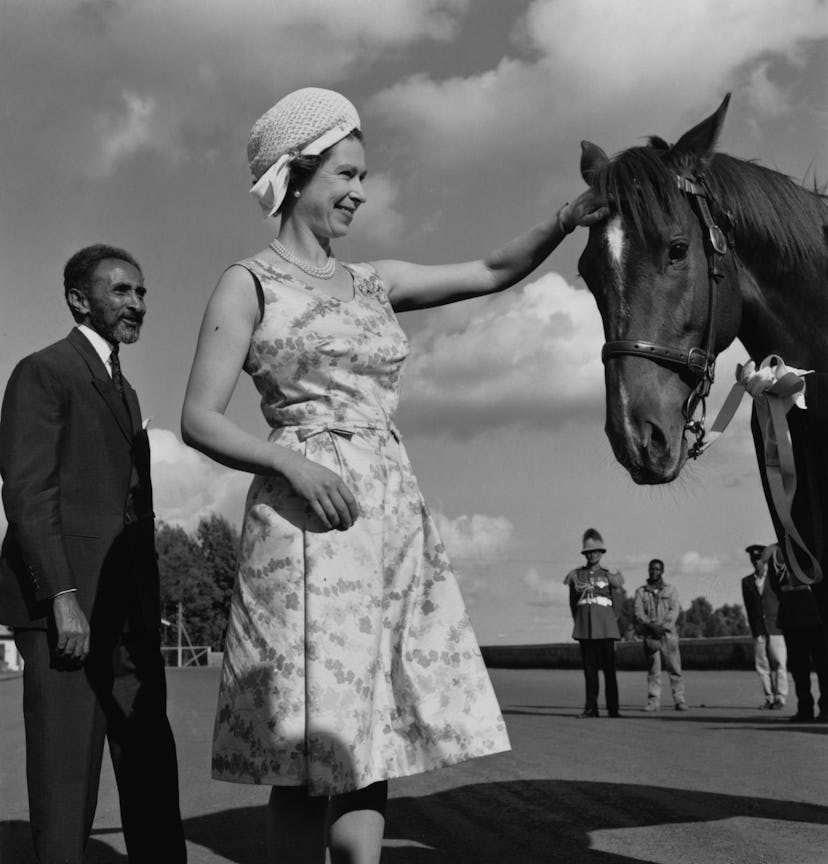 Queen Elizabeth looking utterly delighted by this horse.