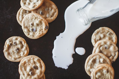 Homemade chocolate chip cookies sit on a table with spilled milk.