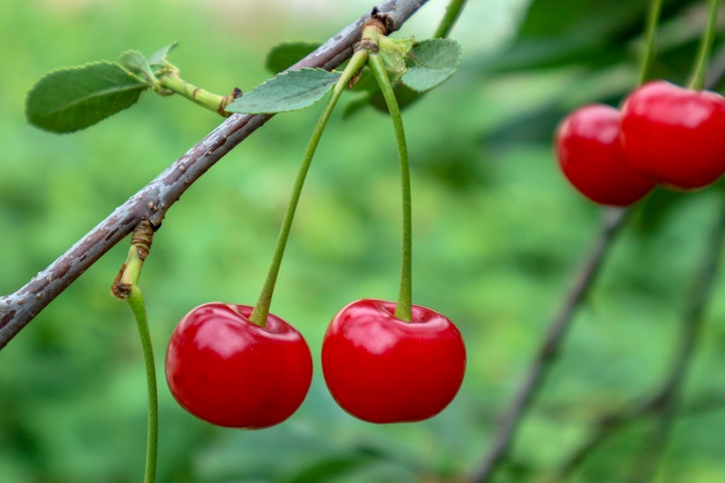 Meaning Of Fruits On Snapchat Stories What Does The Blueberry