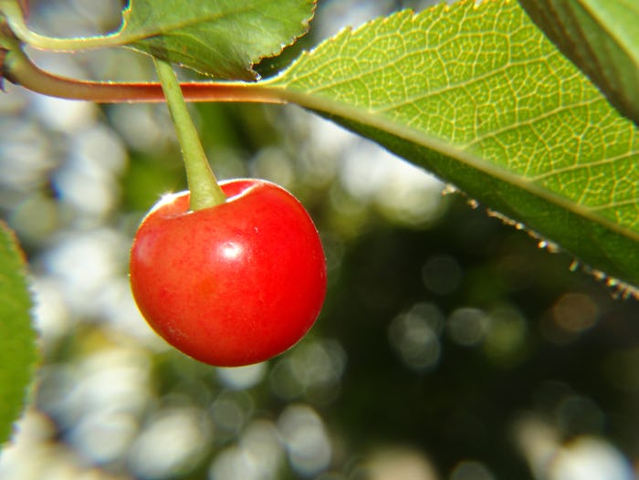 A social media trend from 2016 has surfaced once again.