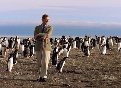 This photo of Prince Charles looking dapper with penguins doesn't look real but it is.