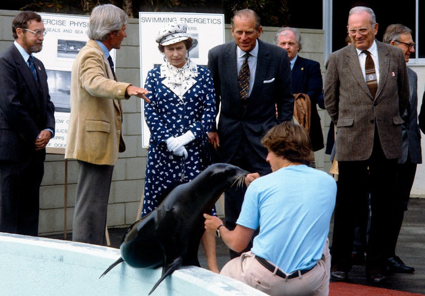 The royal family isn't just fascinated with dogs and horses.