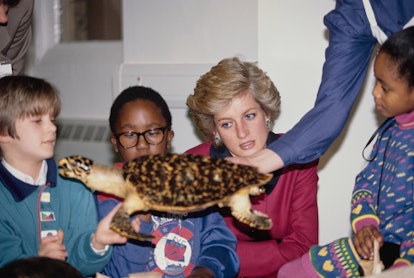 Princess Diana watches as kids pet a turtle.