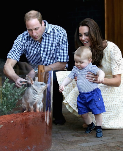 Prince George loved visiting the Australian Zoo in 2013.