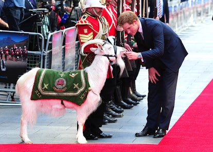 Prince Harry greets a regal goat.