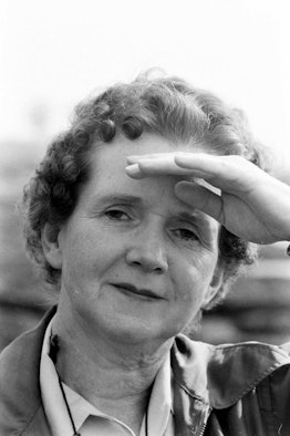 Rachel Carson's "Silent Spring" jumpstarted the movement that lead to the formation of Earth Day. 
