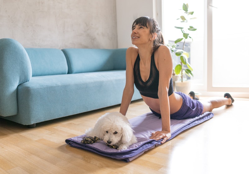 A person does yoga in her living room with a fluffy white dog laying on the front of her yoga blanke...