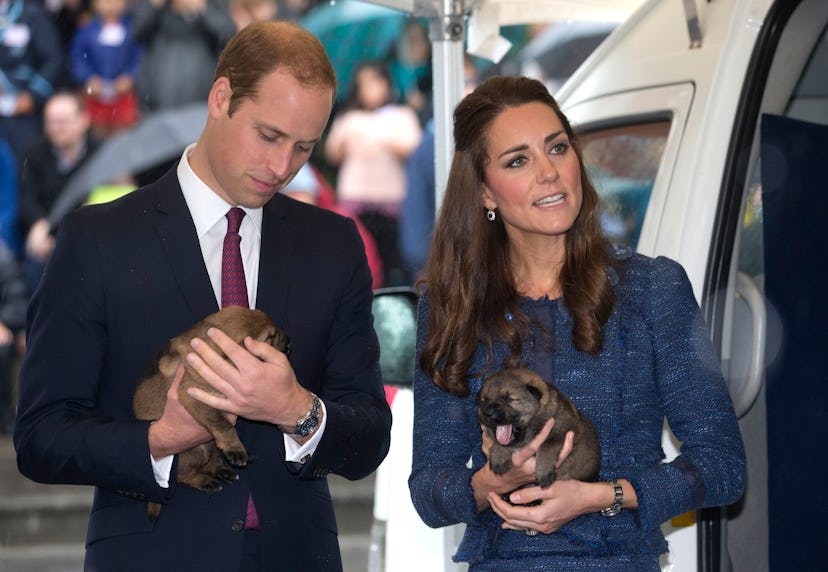 Duke and Duchess of Cambridge with puppies.