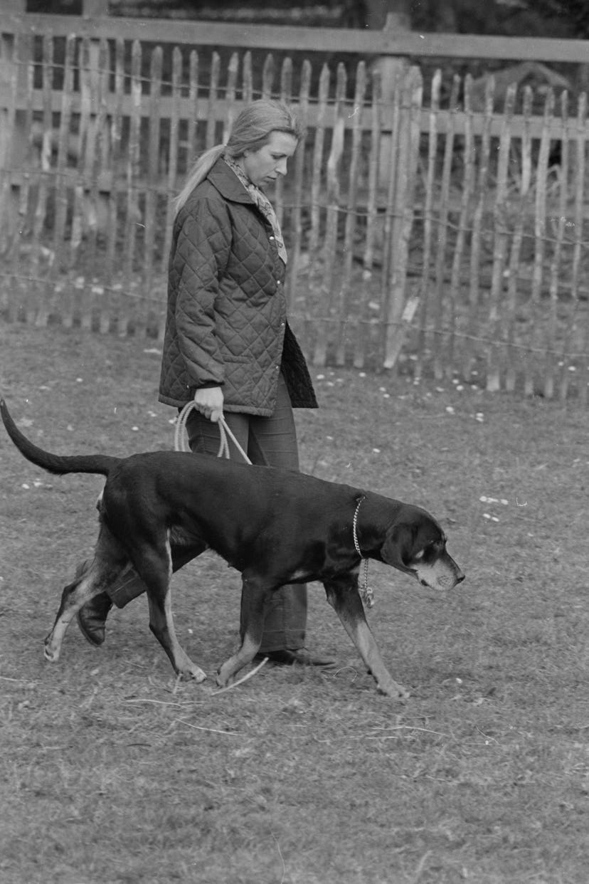Princess Anne walking her dog.