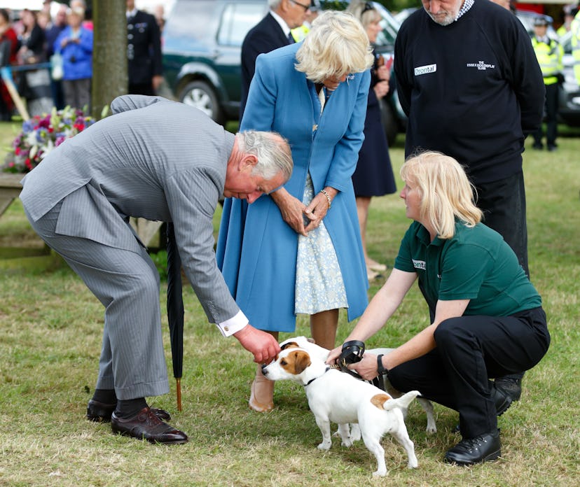 Prince Charles and Camilla Parker met two Jack Russell terriers.