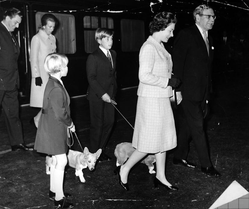 Prince Andrew Prince Edward dogs