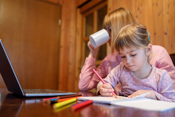 Your child's distance learning requirements will vary by state.