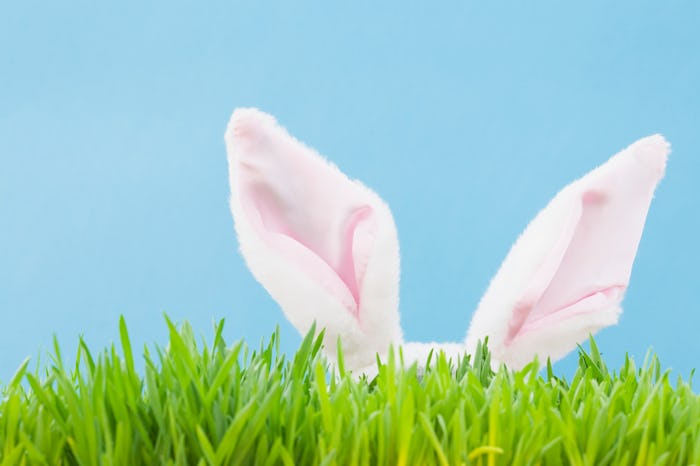 there's now a way to track the Easter bunny with your kids, all from the comfort of your own home.