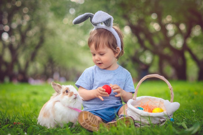 little boy with easter basket and rabbit