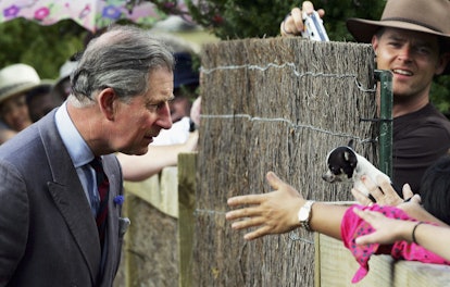 Prince Charles looks like he might be more of a big dog kind of guy.