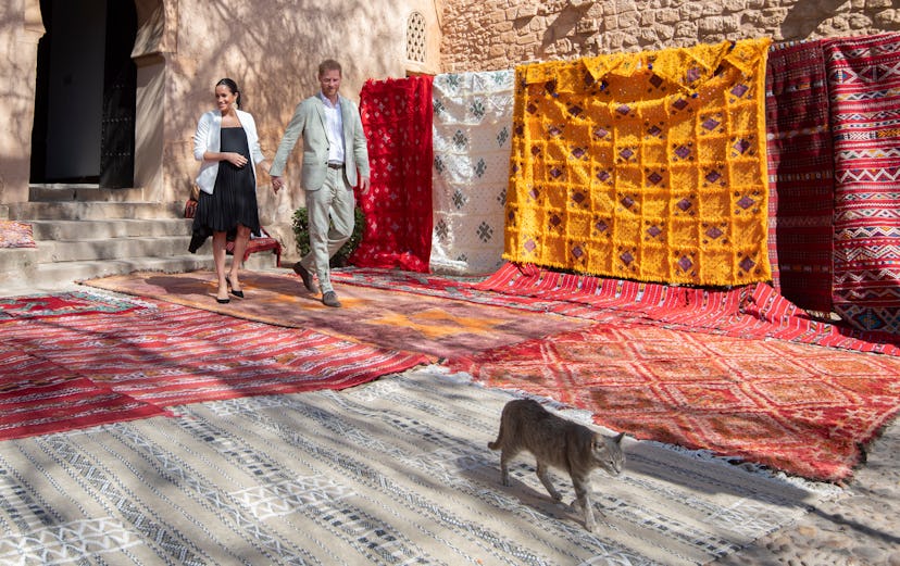 A cat guides Prince Harry and Meghan Markle in Morocco in 2019.