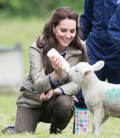 Kate Middleton has the time of her life feeding a lamb a bottle.