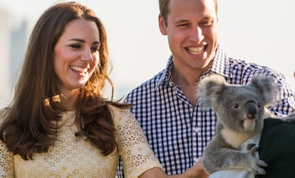Prince William and Kate Middleton petting a koala.
