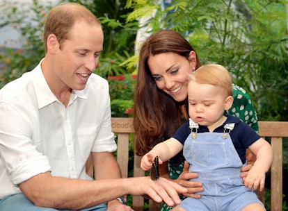 Prince William and Kate Middleton introduce baby Prince George to butterflies.