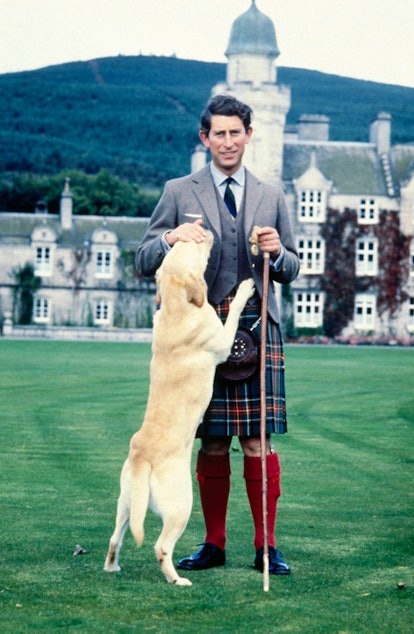 Prince Charles hangs out with Harvey the retriever at Balmoral.