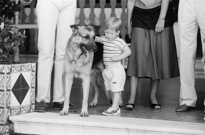 Prince Harry and a dog.