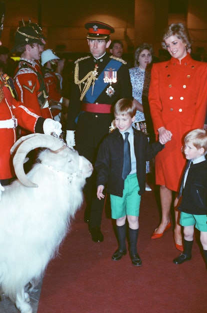 Prince William and Prince Harry loved this sheep.