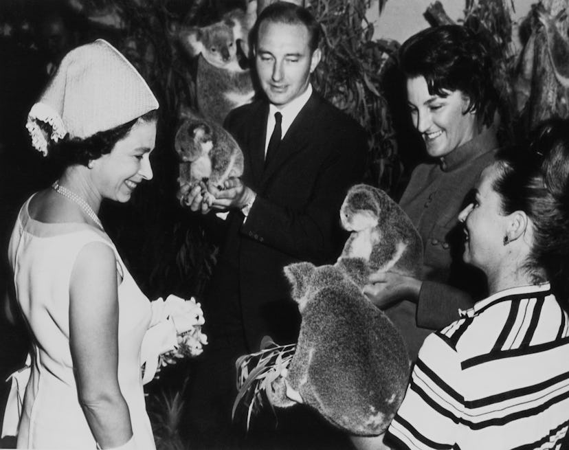 Queen Elizabeth meets koalas.