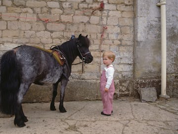 Prince Harry greets a horse and wears overalls.