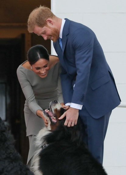 Meghan Markle and Prince Harry petting a dog.