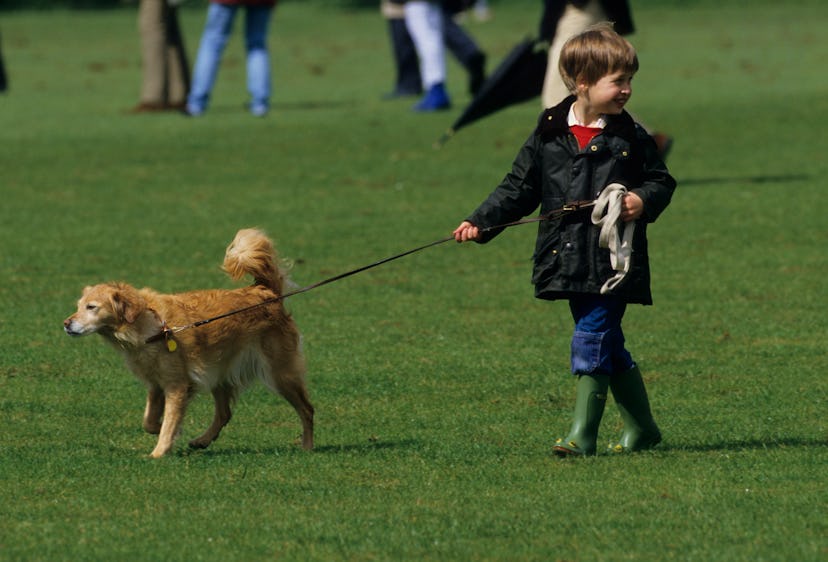 Prince William loved walking a sweet dog.