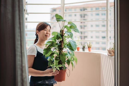 A person smiles as she carries her house plant from one place to another. House plants can be great ...