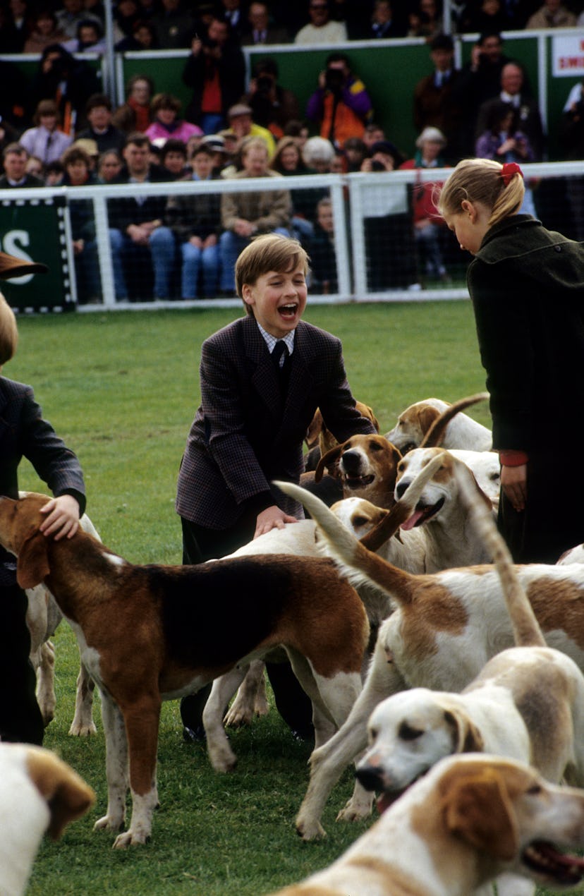 Prince William was laughing up a storm with all the dogs in 1991.