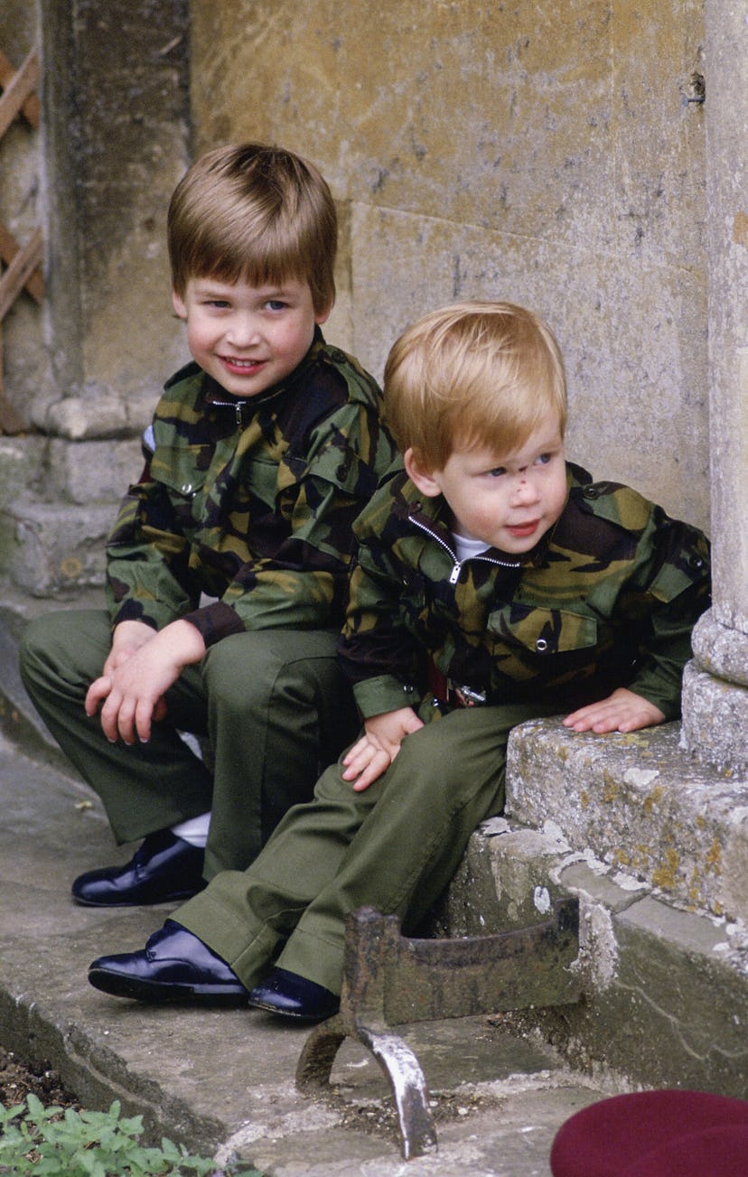 I wonder who the princes are hiding from in all that camouflage?