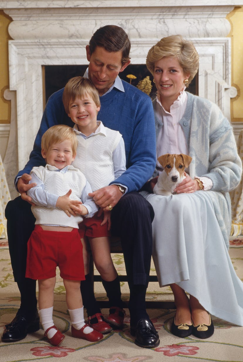 The young princes were dressed to match in a family photo. 