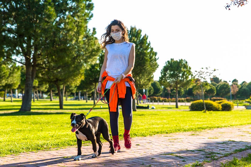 A person wearing a mask walks her dog in a public park. Make sure to wear your mask and maintain at ...