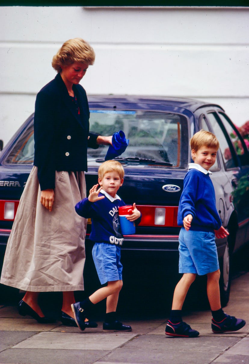 Prince Harry and Prince William going for summer holidays.