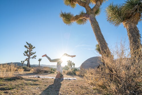 A woman does yoga in joshua tree national park. An expert explains what your brain is trying to tell...