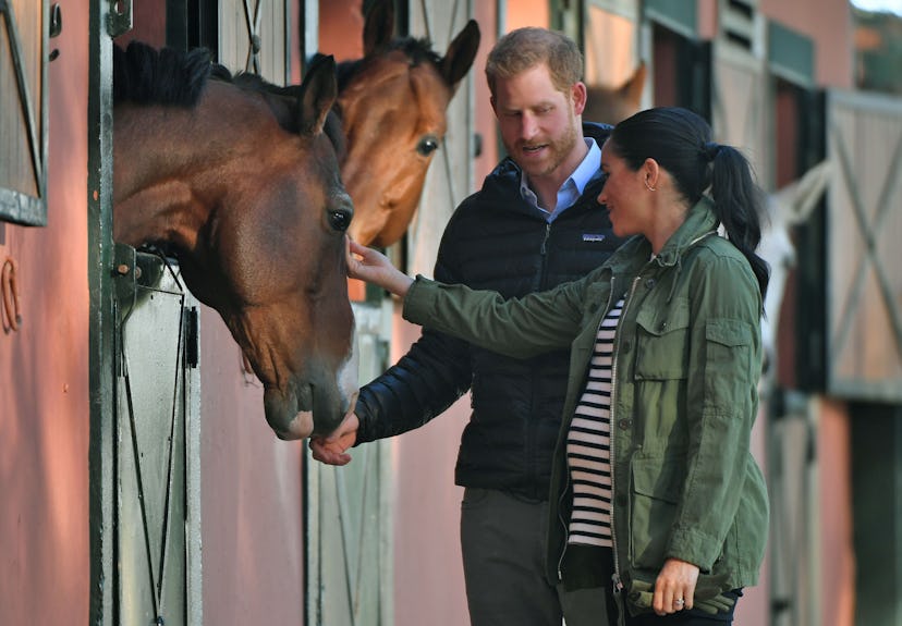Prince Harry and Meghan Markle visit a horse in Morocco.