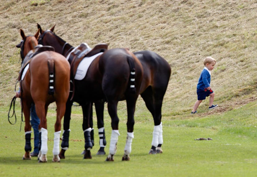 Prince George hangs out with some horses in 2012.