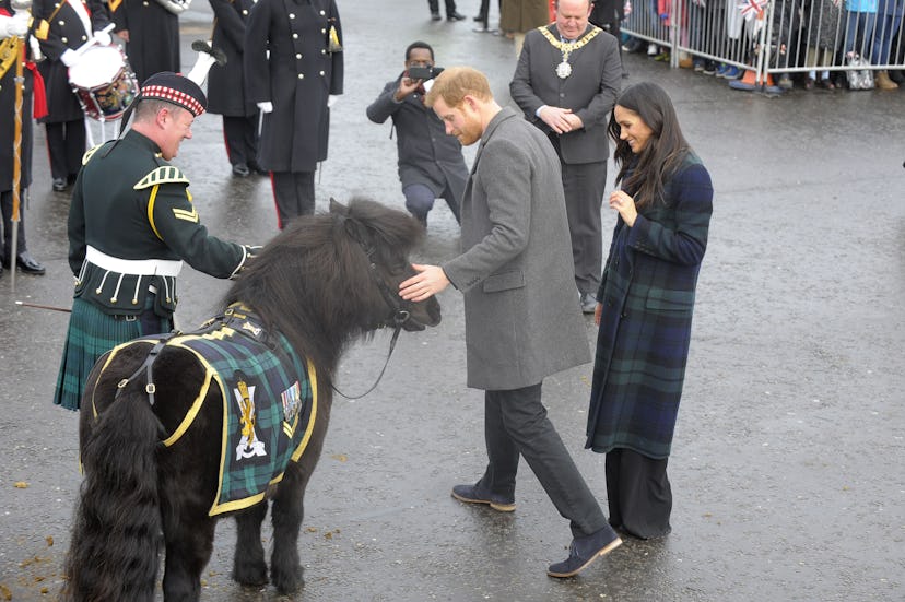 Prince Harry looked nostalgic while greeting a Shetland pony with Meghan Markle.