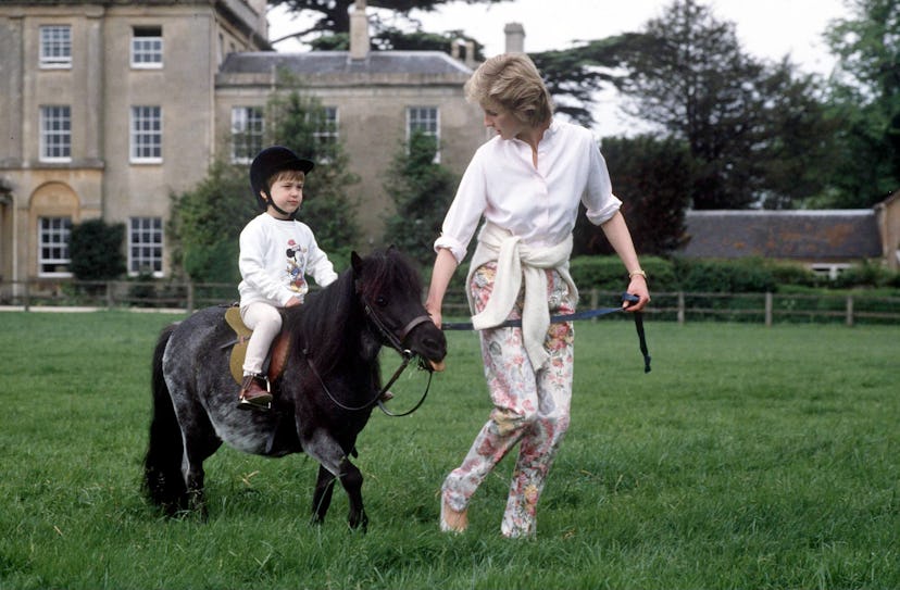 Prince William looked like Smokey the pony was his pal.
