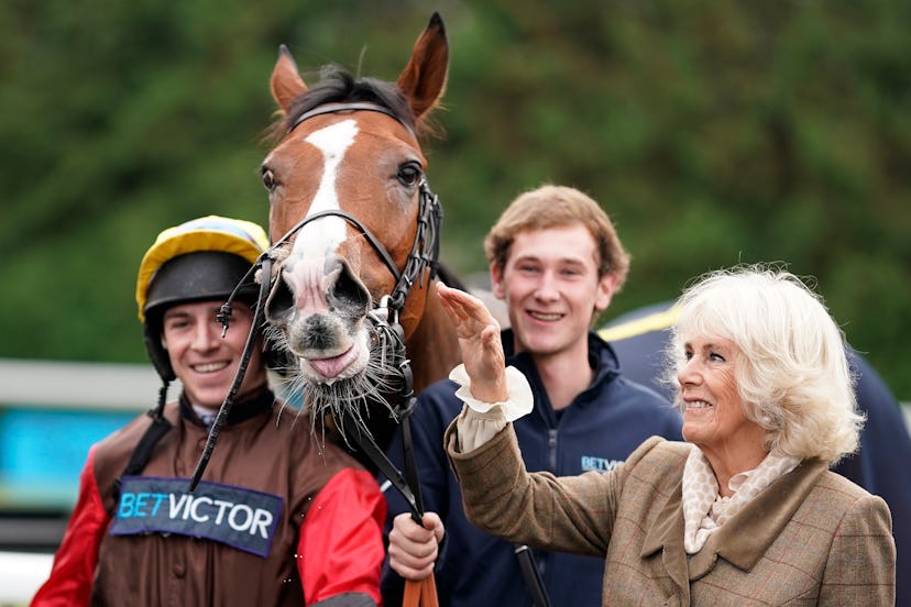 The Duchess of Cornwall has a way with horses.