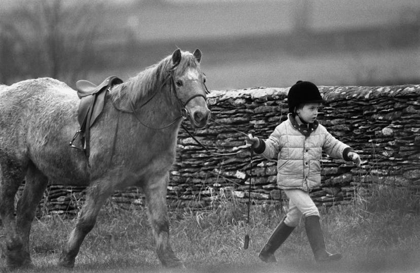 Prince William lead a pony around Highgrove Estate.