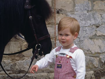 A collection of photos of royals with horses highlight a long history of the family's deep love for ...