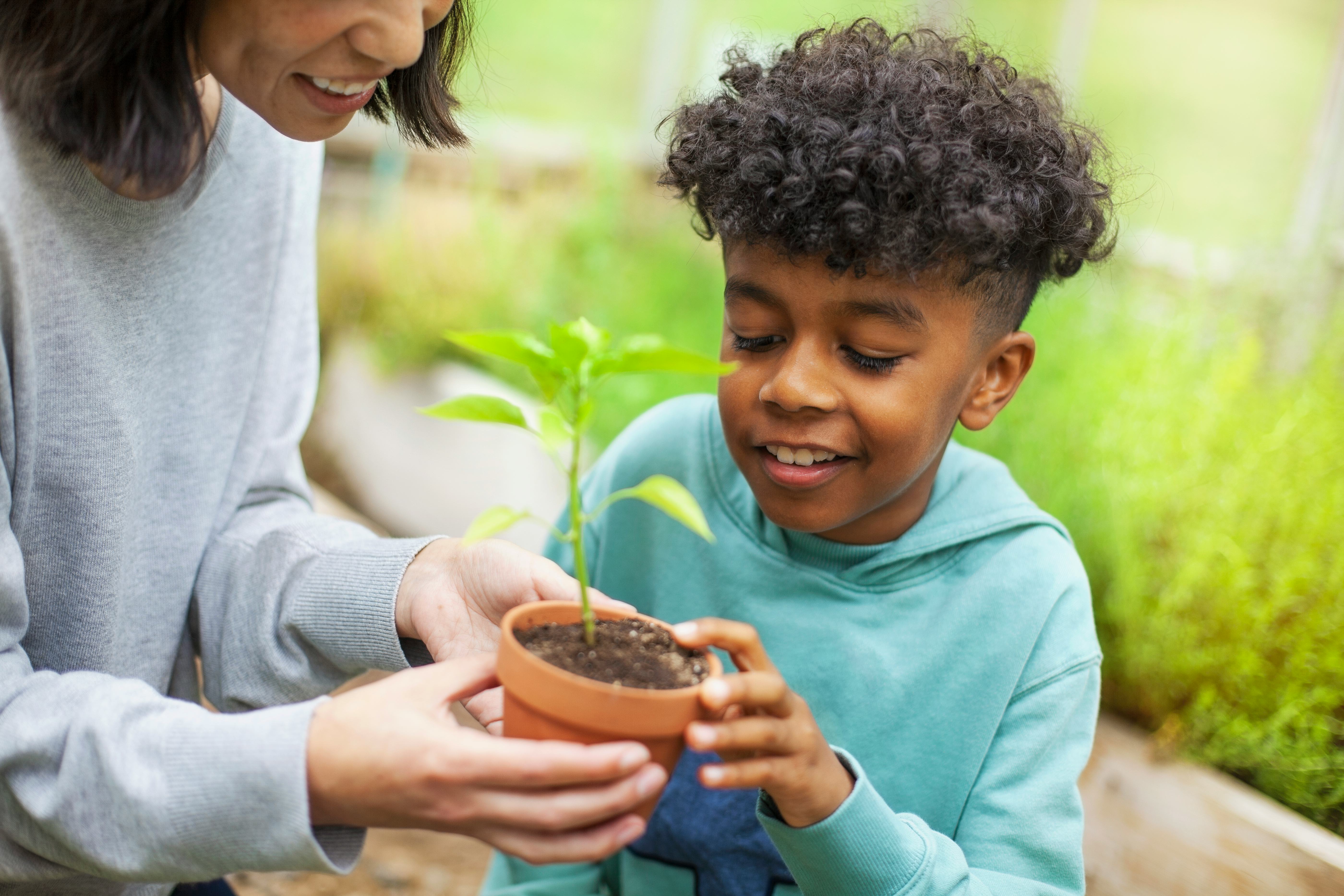 How Do You Know If A Bug Bite Is Infected