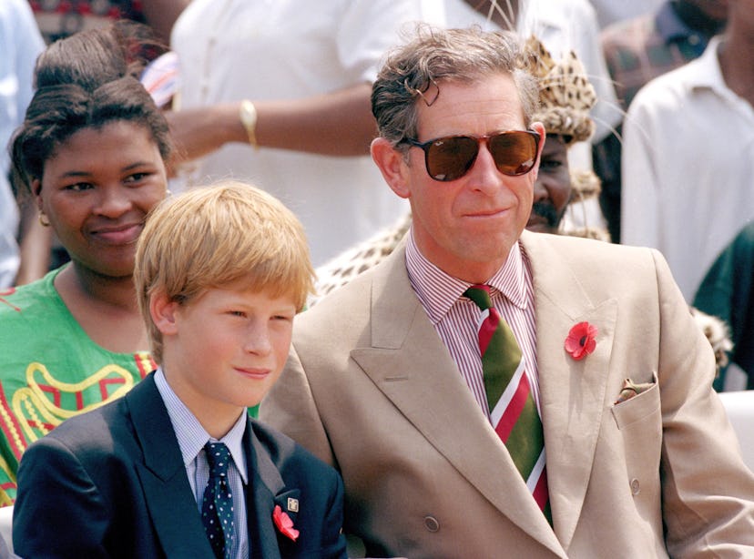 Prince Charles bonds with Prince Harry in Africa.
