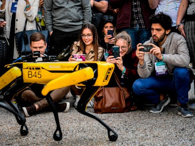 People taking photos of a yellow Boston Dynamics' Robotic Dog  
