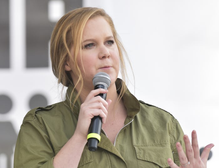 Amy Schumer's son Gene joined her at a recent protest.